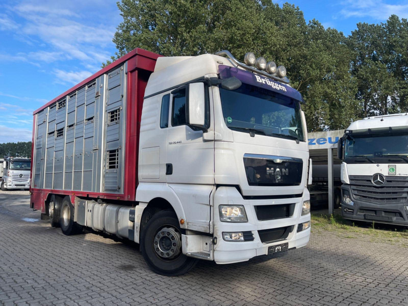 MAN TGX 26.400 6x2-2 LL 3 Stück Finkl Hubdach - Kamion za prijevoz stoke: slika MAN TGX 26.400 6x2-2 LL 3 Stück Finkl Hubdach - Kamion za prijevoz stoke MAN TGX 26.400 6x2-2 LL 3 Stück Finkl Hubdach - Kamion za prijevoz stoke: slika MAN TGX 26.400 6x2-2 LL 3 Stück Finkl Hubdach - Kamion za prijevoz stoke