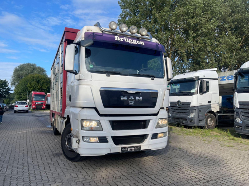 MAN TGX 26.400 6x2-2 LL 3 Stück Finkl Hubdach - Kamion za prijevoz stoke: slika MAN TGX 26.400 6x2-2 LL 3 Stück Finkl Hubdach - Kamion za prijevoz stoke MAN TGX 26.400 6x2-2 LL 3 Stück Finkl Hubdach - Kamion za prijevoz stoke: slika MAN TGX 26.400 6x2-2 LL 3 Stück Finkl Hubdach - Kamion za prijevoz stoke