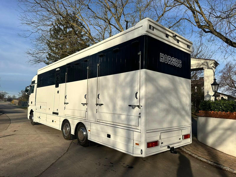 MAN TGX 26.440 - Horse transporter - Kamion za prijevoz konja: slika MAN TGX 26.440 - Horse transporter - Kamion za prijevoz konja MAN TGX 26.440 - Horse transporter - Kamion za prijevoz konja: slika MAN TGX 26.440 - Horse transporter - Kamion za prijevoz konja