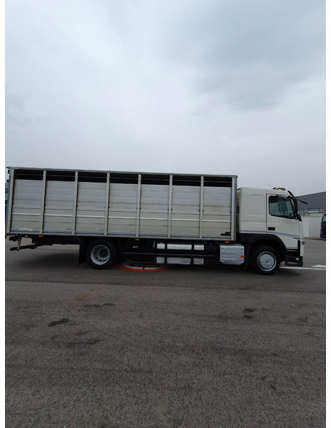 Volvo FM 500 Viehtransporter ( Rind / beef ) - Kamion za prijevoz stoke: slika Volvo FM 500 Viehtransporter ( Rind / beef ) - Kamion za prijevoz stoke Volvo FM 500 Viehtransporter ( Rind / beef ) - Kamion za prijevoz stoke: slika Volvo FM 500 Viehtransporter ( Rind / beef ) - Kamion za prijevoz stoke