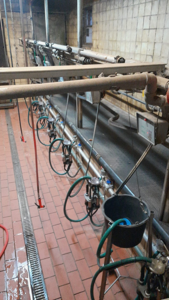 Melkstand - Oprema za mužnju: slika Melkstand - Oprema za mužnju Melkstand - Oprema za mužnju: slika Melkstand - Oprema za mužnju