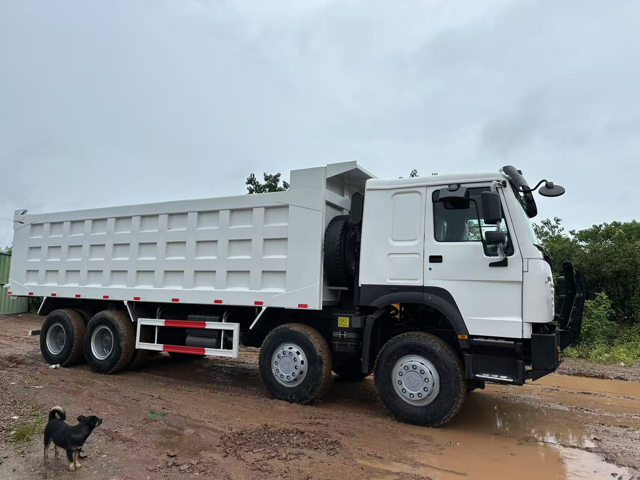 SINOTRUK HOWO 371 with Bumper - Kiper: slika SINOTRUK HOWO 371 with Bumper - Kiper SINOTRUK HOWO 371 with Bumper - Kiper: slika SINOTRUK HOWO 371 with Bumper - Kiper