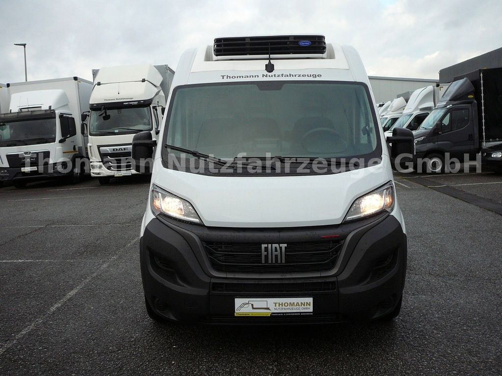 Fiat Ducato Kühlkasten L4/H2 Carrier Xarios 300GH - Dostavno vozilo hladnjača: slika Fiat Ducato Kühlkasten L4/H2 Carrier Xarios 300GH - Dostavno vozilo hladnjača Fiat Ducato Kühlkasten L4/H2 Carrier Xarios 300GH - Dostavno vozilo hladnjača: slika Fiat Ducato Kühlkasten L4/H2 Carrier Xarios 300GH - Dostavno vozilo hladnjača