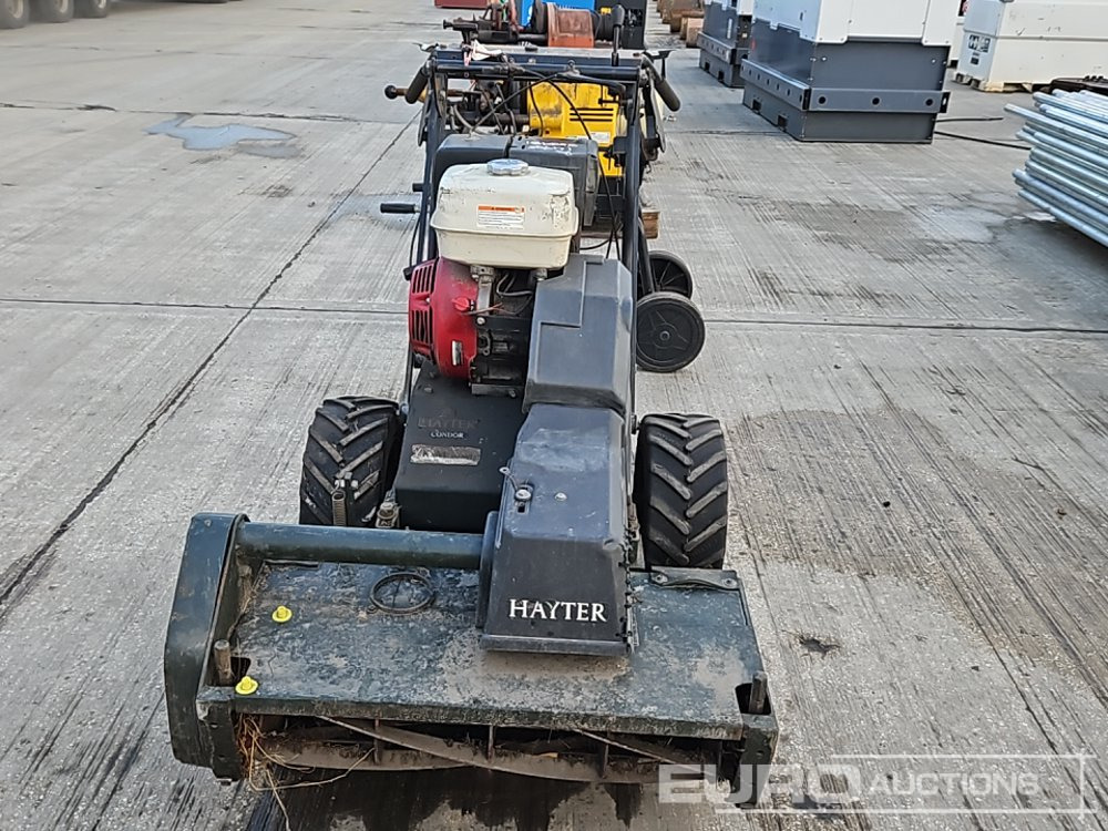 Hayter Petrol Walk Behind Lawnmower - Vrtna kosilica: slika Hayter Petrol Walk Behind Lawnmower - Vrtna kosilica Hayter Petrol Walk Behind Lawnmower - Vrtna kosilica: slika Hayter Petrol Walk Behind Lawnmower - Vrtna kosilica