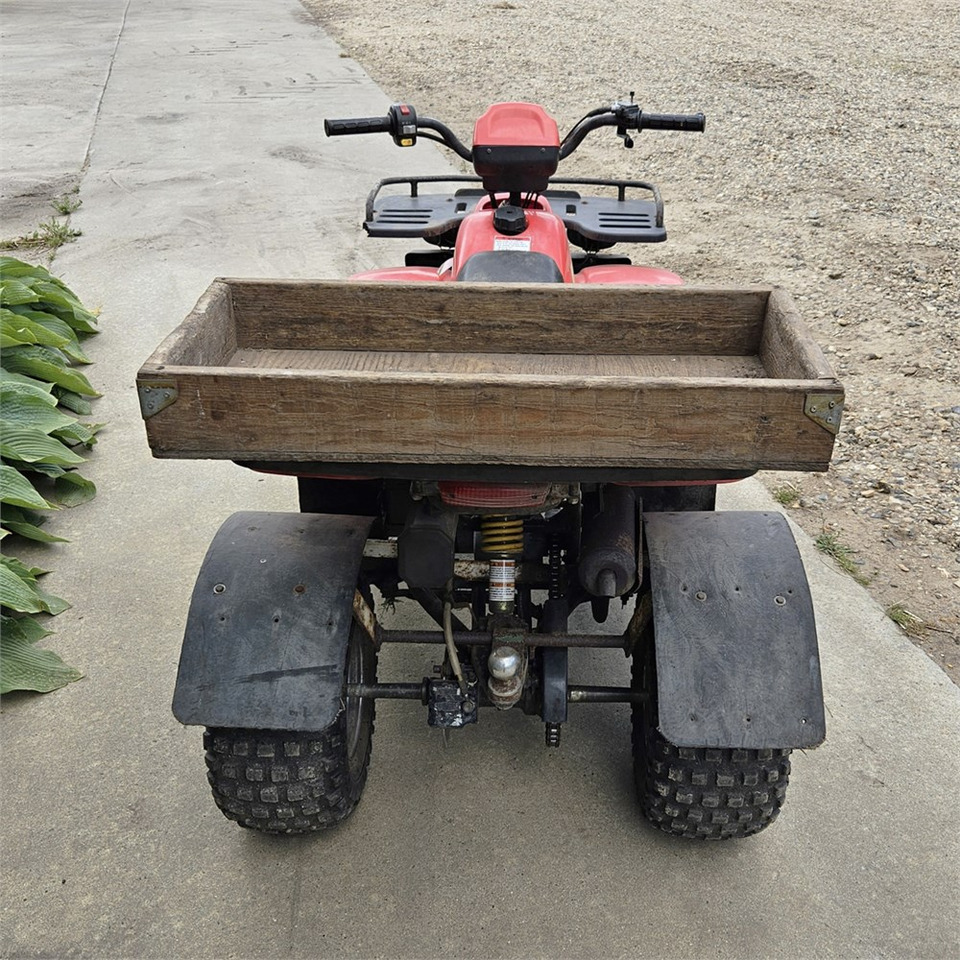 ATV/ Quad vozilo ABC 150 X: slika ATV/ Quad vozilo ABC 150 X