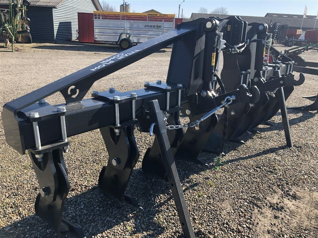 Agroland Tytan Plow Combi - Podrivač: slika Agroland Tytan Plow Combi - Podrivač Agroland Tytan Plow Combi - Podrivač: slika Agroland Tytan Plow Combi - Podrivač