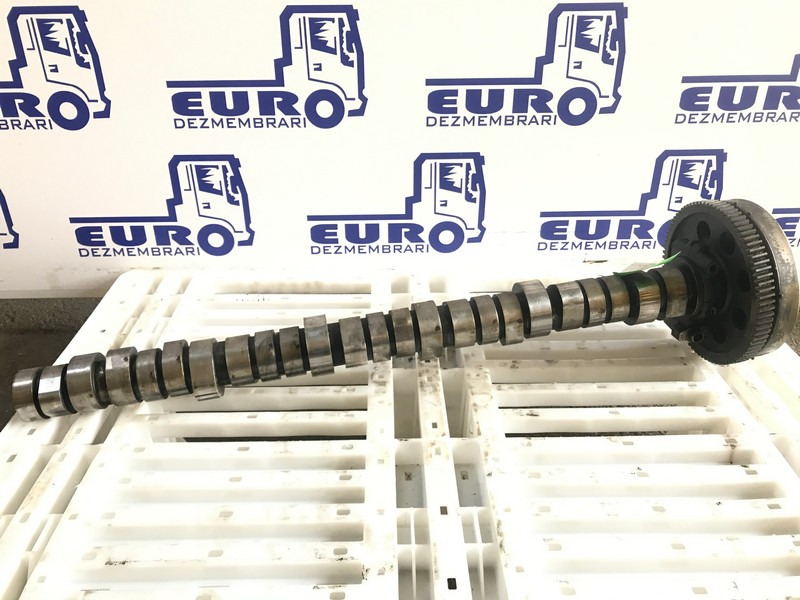 AX CU CAME RENAULT DXI 11 20746807 - Bregasto vratilo za Kamion: slika AX CU CAME RENAULT DXI 11 20746807 - Bregasto vratilo za Kamion AX CU CAME RENAULT DXI 11 20746807 - Bregasto vratilo za Kamion: slika AX CU CAME RENAULT DXI 11 20746807 - Bregasto vratilo za Kamion