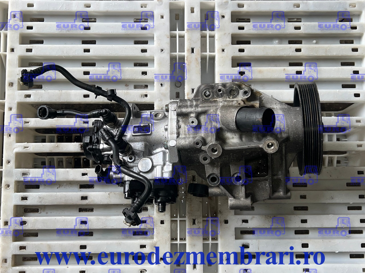 POMPA INALTA PRESIUNE + UNITATE COMANDA MAN TGX D3876 51.11103.7859, 51.38507.5073, 51.38507.3106, 51.11103.7856, 51.11103.7857 - Pumpa goriva za Kamion: slika POMPA INALTA PRESIUNE + UNITATE COMANDA MAN TGX D3876 51.11103.7859, 51.38507.5073, 51.38507.3106, 51.11103.7856, 51.11103.7857 - Pumpa goriva za Kamion POMPA INALTA PRESIUNE + UNITATE COMANDA MAN TGX D3876 51.11103.7859, 51.38507.5073, 51.38507.3106, 51.11103.7856, 51.11103.7857 - Pumpa goriva za Kamion: slika POMPA INALTA PRESIUNE + UNITATE COMANDA MAN TGX D3876 51.11103.7859, 51.38507.5073, 51.38507.3106, 51.11103.7856, 51.11103.7857 - Pumpa goriva za Kamion
