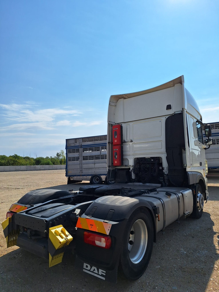 DAF XF 480 - Tegljač: slika DAF XF 480 - Tegljač DAF XF 480 - Tegljač: slika DAF XF 480 - Tegljač